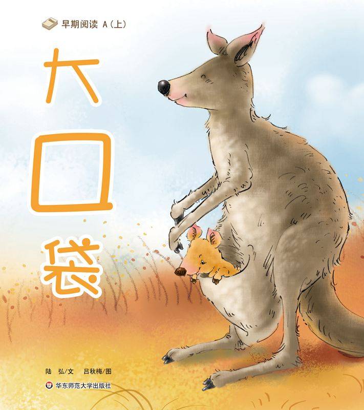 大口袋